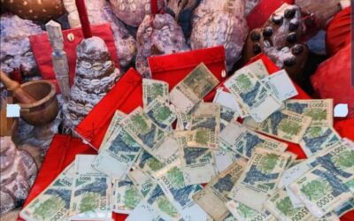 LA VÉRITÉ SUR LE PUISSANT PORTEFEUILLE MAGIQUE