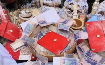 LA VÉRITÉ SUR LE VRAI PORTEFEUILLE MAGIQUE, EXPERT VOYANT
